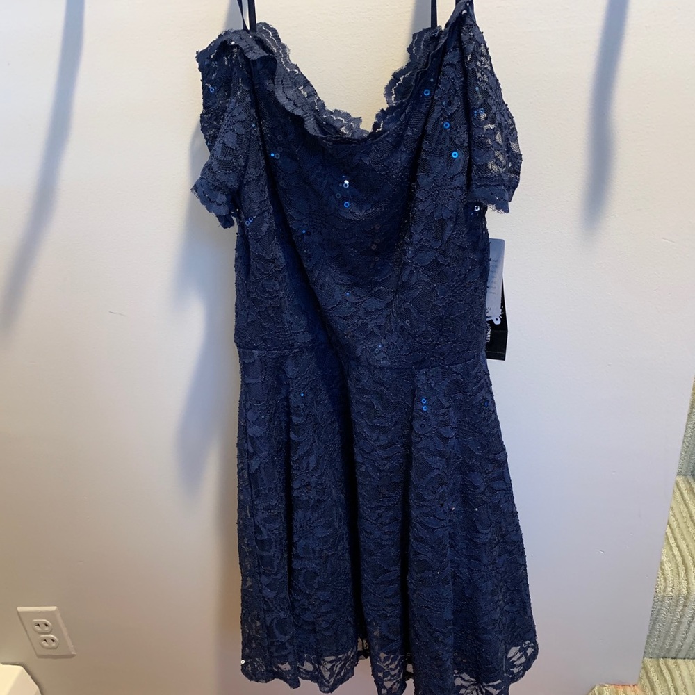 Lace and sequin fit and flare dress